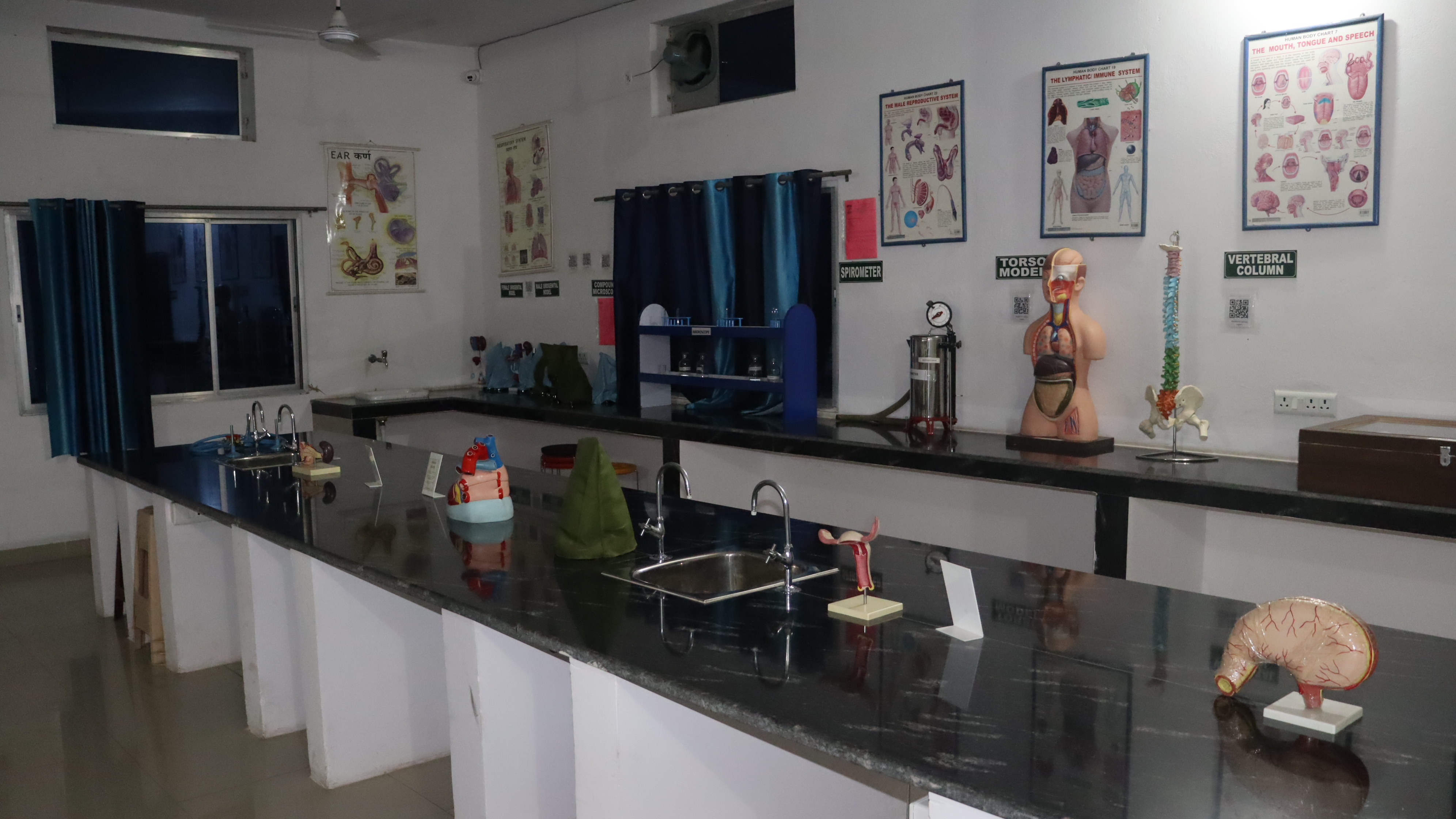 DIVINE COLLEGE OF PHARAMCY